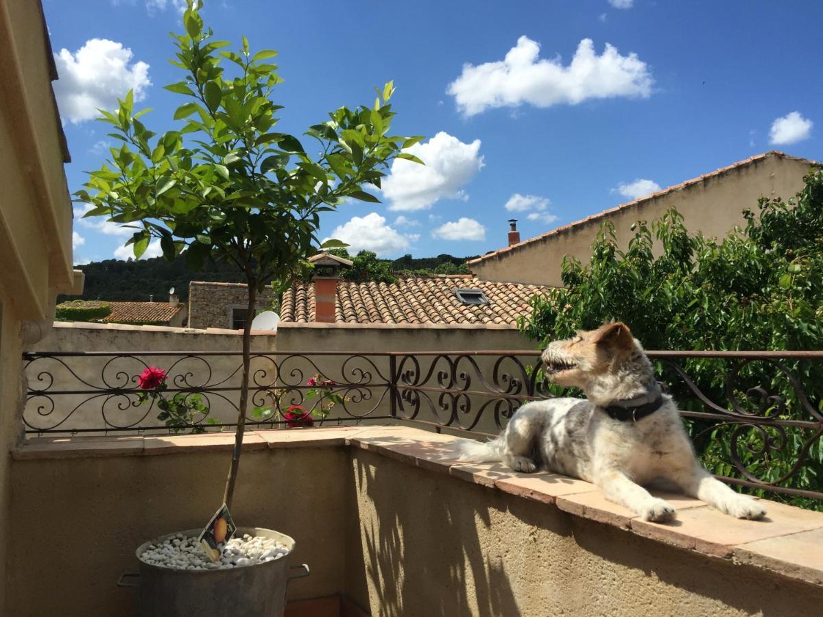 Holidays In Lagrasse Buitenkant foto