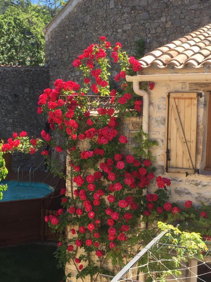 Holidays In Lagrasse Buitenkant foto